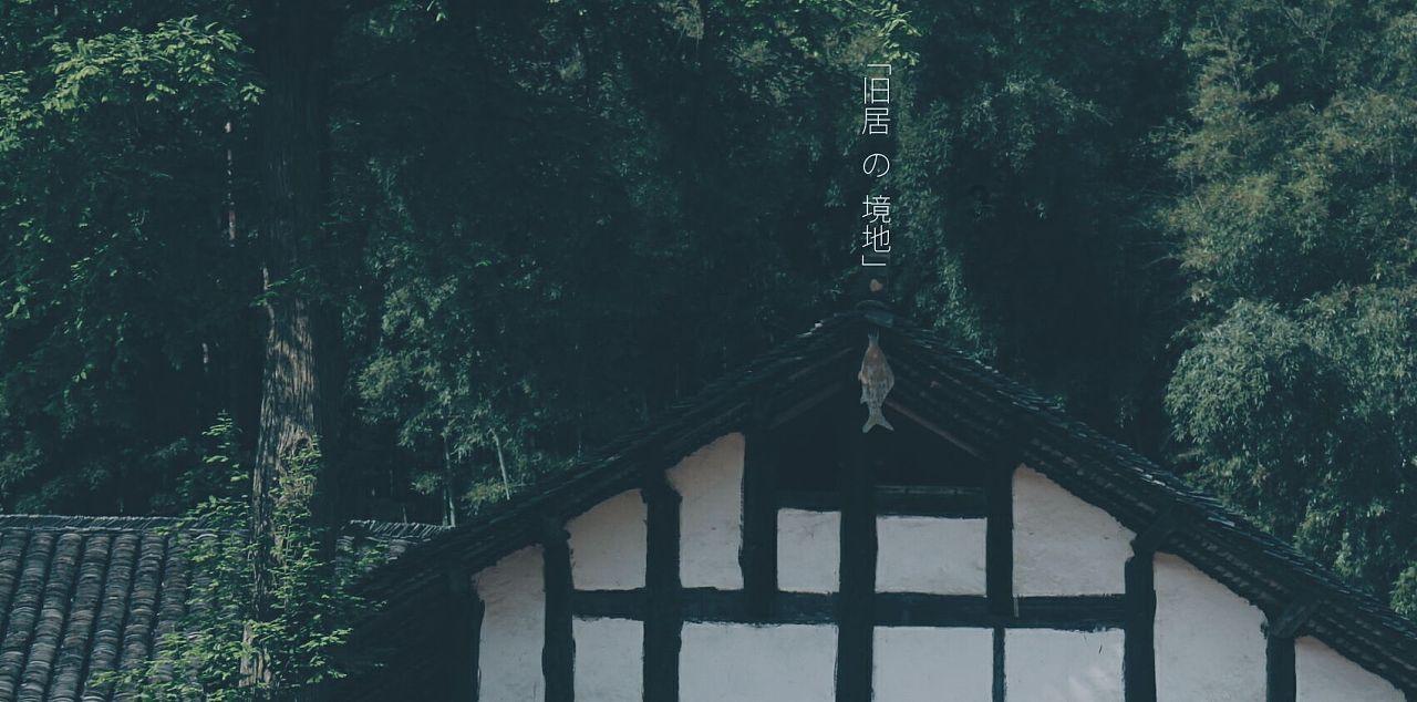 “别人有了新生的机会，我感觉儿子还活着”