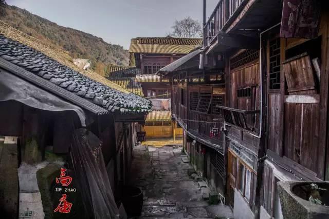 2024春节山东乡村文化旅游节丨“硬核”新农人的南果北种好“丰”景